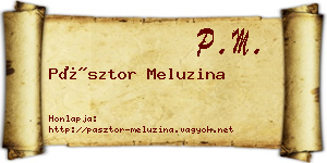 Pásztor Meluzina névjegykártya
